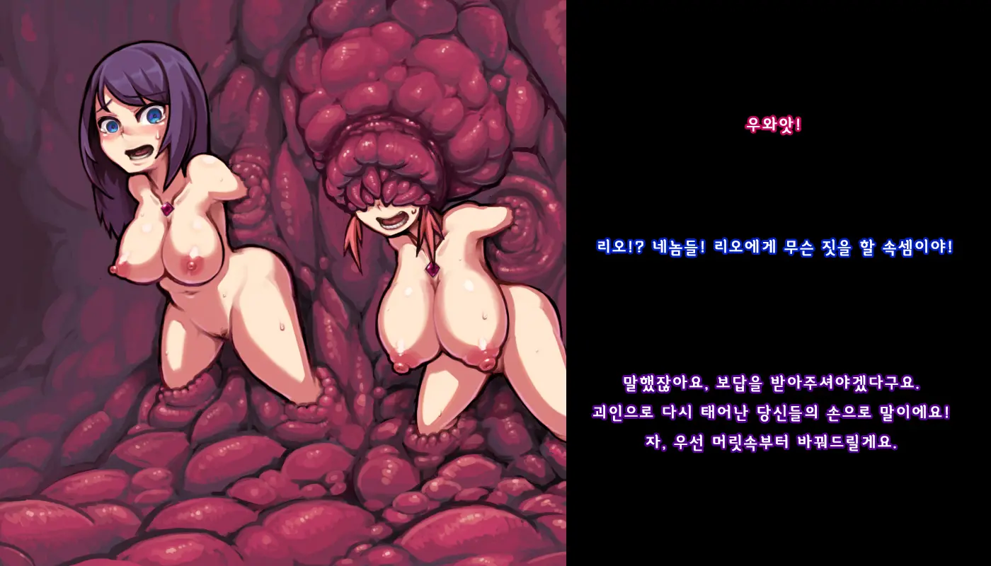 第十一話「漆黒の大幹部ゾーラ」